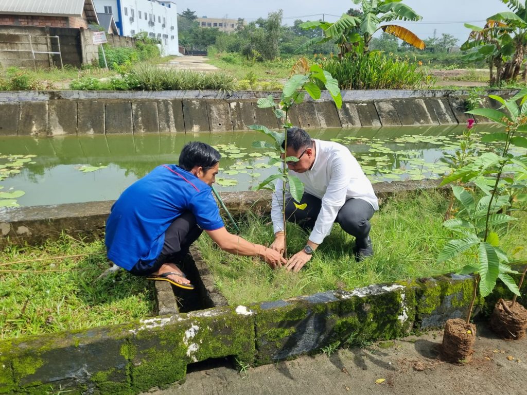 Suasana penanaman pohon matoa serentak di kampus UIN Raden Fatah